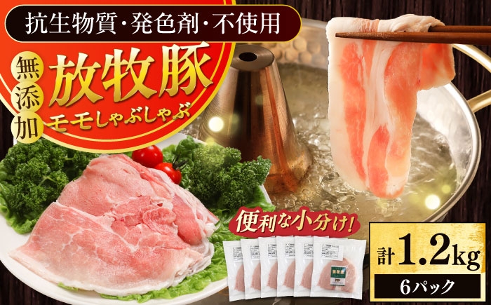豚肉 モモ もも肉 薄切り 豚モモ スライス 豚しゃぶ 小分け 冷凍 北海道
