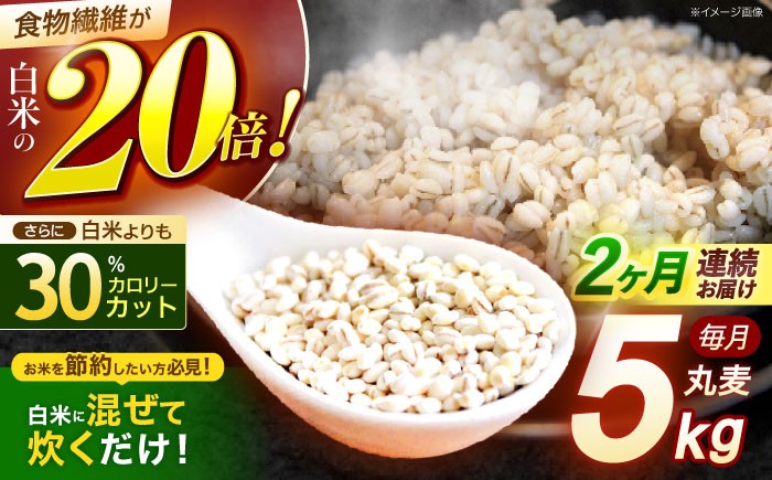 麦 むぎ 大麦 雑穀 雑穀米 麦ごはん ごはん 食物繊維 長崎県産 5キロ 定期便