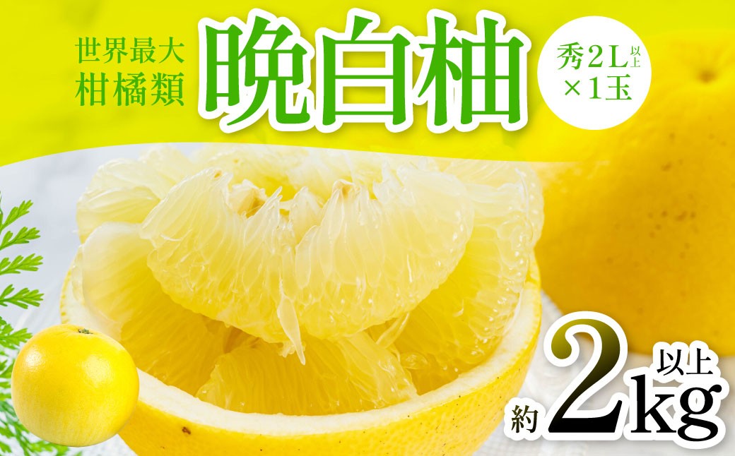 フルーツのプロとして安心の品質をお届けします。ふるさとの誇りをお楽しみください。