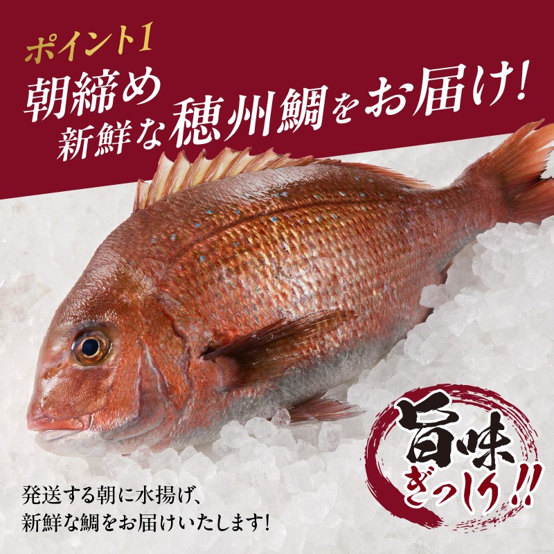 朝締め穂州鯛 サク4人前