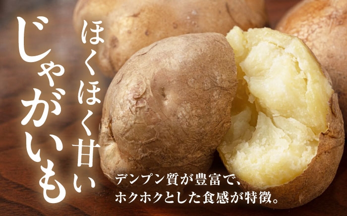 じゃがいも 玉ねぎ セット いも 男爵 野菜 北海道 ポテト 国産 産地直送 旬 お取り寄せ