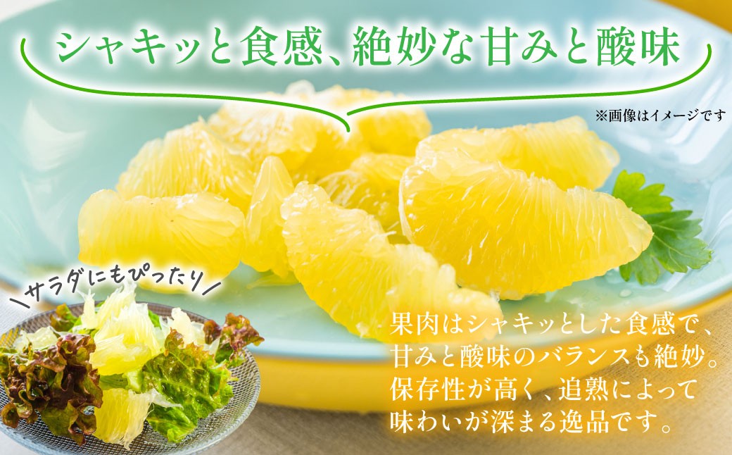 果肉はシャキッとした食感で、甘みと酸味のバランスも絶妙。保存性が高く、追熟によって味わいが深まる逸品です。