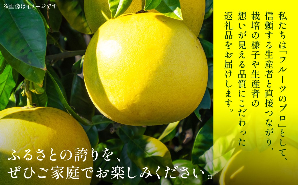 ふるさとの誇りを、ぜひご家庭でお楽しみください。