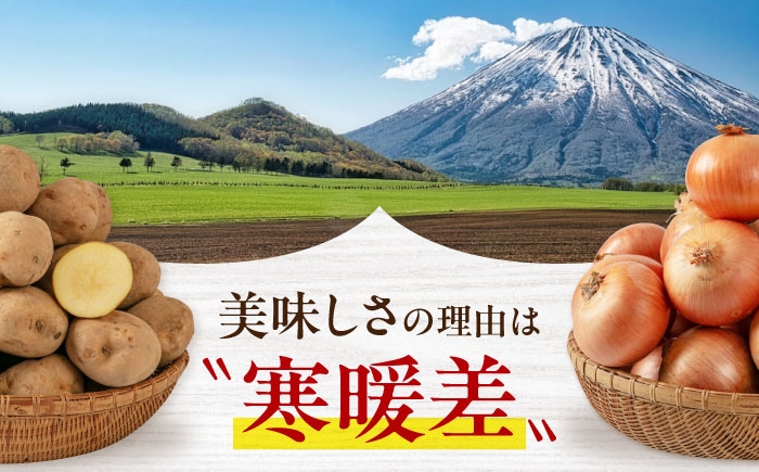 じゃがいも 玉ねぎ セット いも 男爵 野菜 北海道 ポテト 国産 産地直送 旬 お取り寄せ