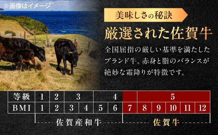 切り落とし 約600g 国産 佐賀牛