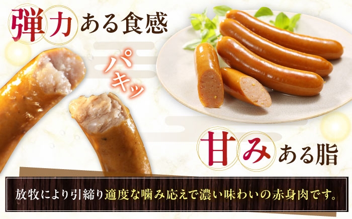 ウインナー スパイシー 辛口 大人 北海道 冷凍 ポーク 無添加 