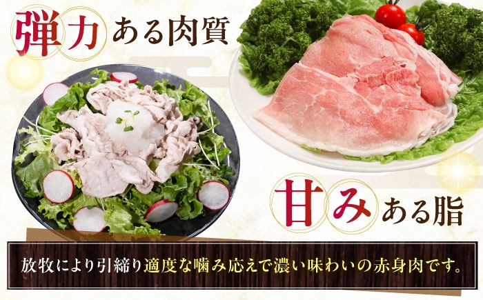 豚肉 モモ もも肉 薄切り 豚モモ スライス 豚しゃぶ 小分け 冷凍 北海道