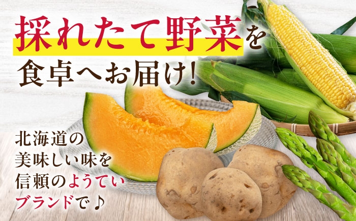 じゃがいも 玉ねぎ セット いも 男爵 野菜 北海道 ポテト 国産 産地直送 旬 お取り寄せ