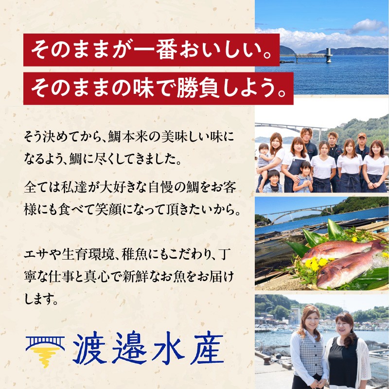 朝締め穂州鯛 サク4人前
