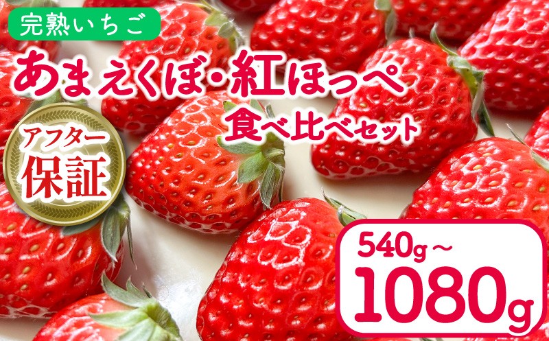 お写真の１箱２パック入りをもう１箱用意し、計２箱お届けします。