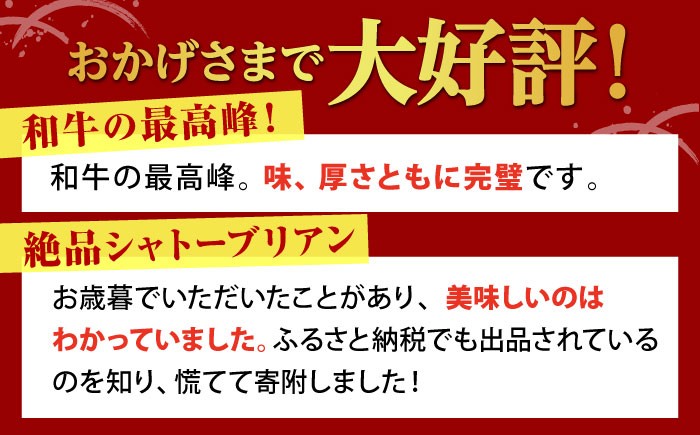 シャトーブリアン 赤身 赤身肉 サーロイン ロース ステーキ 厚切り 希少部位 A5 A5ランク 黒毛和牛 ヒレ フィレ 