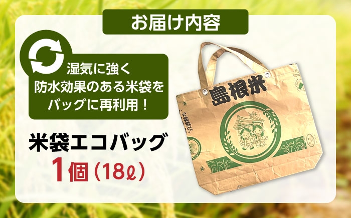 お米 米袋 バッグ エコバッグ サスティナブルバッグ リメイク リサイクル