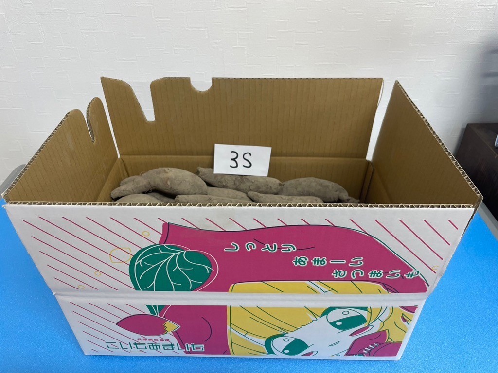 写真はイメージです。