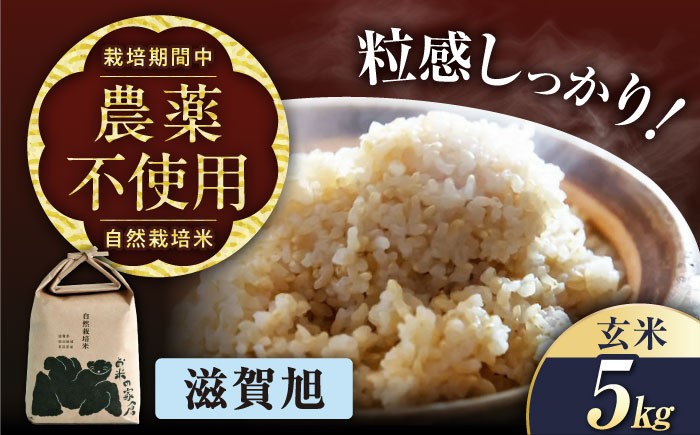 自然栽培 在来種 滋賀旭 5kg 玄米　米 お米 玄米  5kg