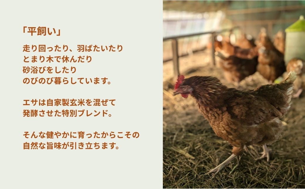 無塩せき ひよりハーブウインナー 1.5kg (150g×10袋) | 着色料不使用 平飼い ハーブウインナー