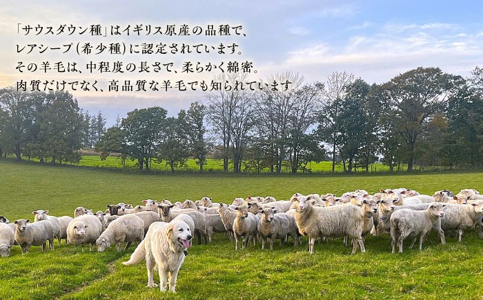 布団 敷き布団 敷布団 ふとん 羊 羊毛 寝具 シングル 手作り 足寄町 北海道