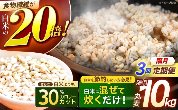 麦 むぎ 雑穀 雑穀米 麦ごはん 麦飯 麦みそ 食物繊維 長崎県産 米 こめ コメ ※