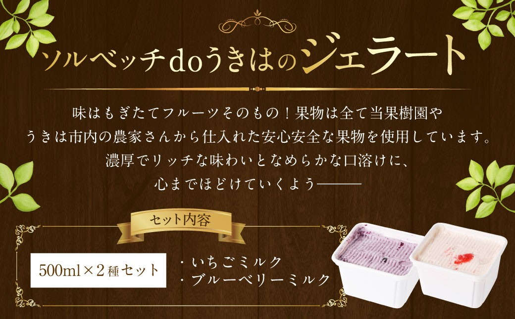 ソルベッチdoうきは ジェラート500ml×2個セット