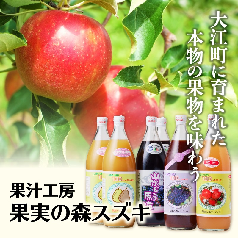 大江の恵 山ぶどう原液2本セット(各500ml）