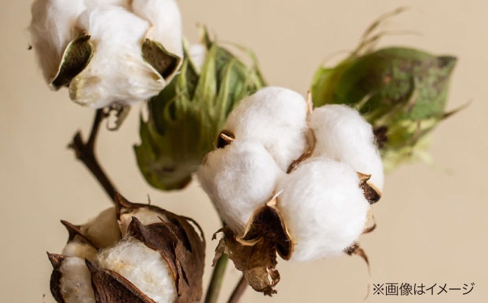 マスク 布マスク 立体 オーガニック コットン ボタニカル マスク 植物由来 スキンケア 保湿 美容マスク ナチュラル 人気