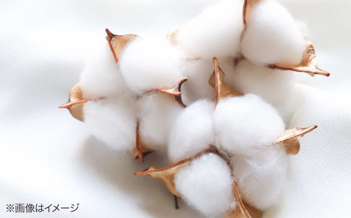 マスク 布マスク 立体 オーガニック コットン ボタニカル マスク 植物由来 スキンケア 保湿 美容マスク ナチュラル 人気