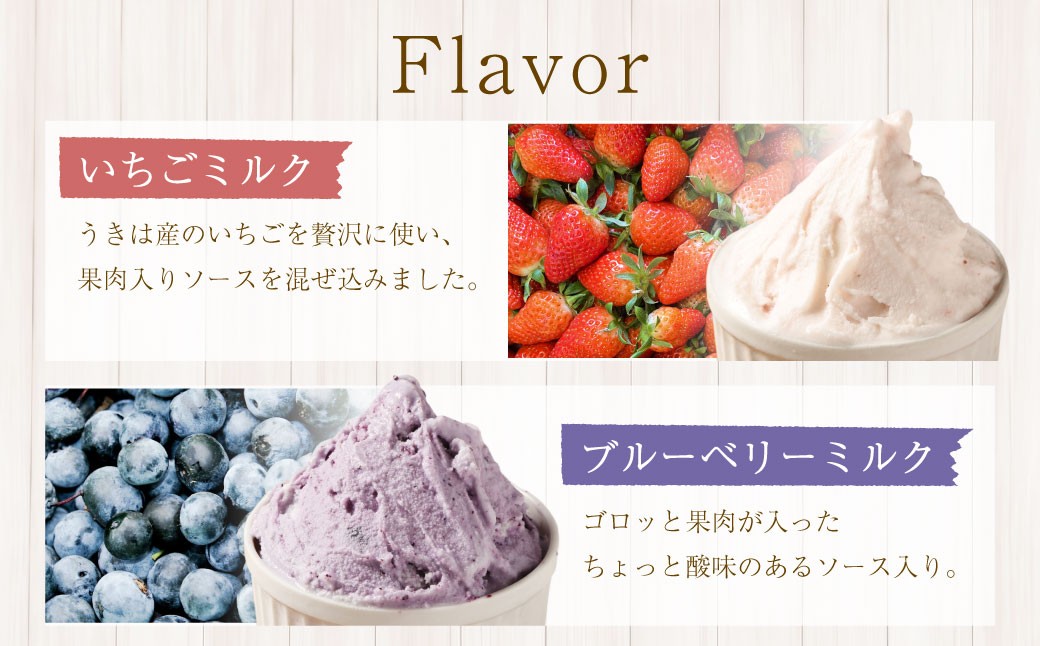 ソルベッチdoうきは ジェラート500ml×2個セット