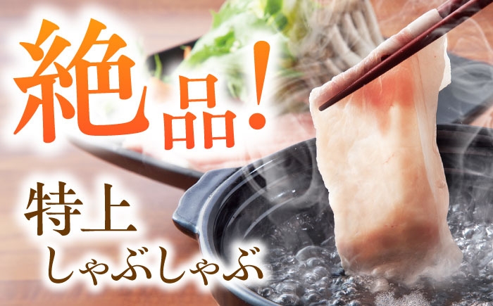 6回 定期便 あんしん豚 特上しゃぶしゃぶ セット 豚肉 ロース 国産 白川町 豚しゃぶ サラダ