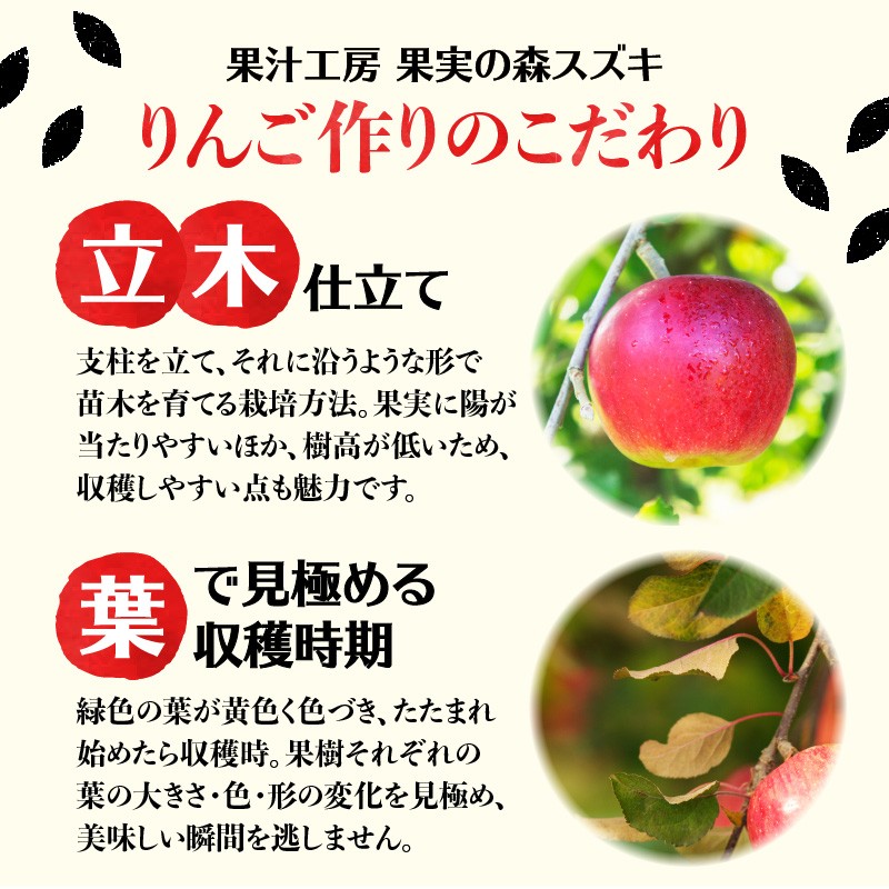 大江の恵 昔なつかしのすっきり紅玉6本ギフト