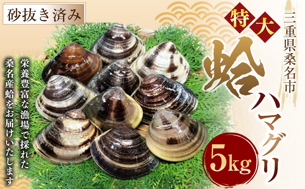 【特大】桑名産蛤（ハマグリ） 5.0kg