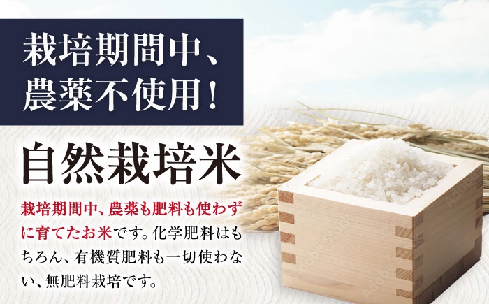 米 お米 玄米 10kg 滋賀旭 自然栽培 長浜市 滋賀県 しがあさひ 農薬不使用 あっさり カレー 和食 麹 冷めても美味しい