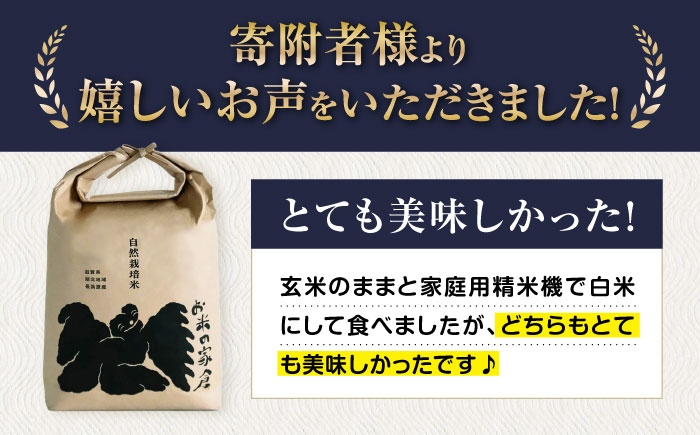 米 お米 玄米 10kg 滋賀旭 自然栽培 長浜市 滋賀県 しがあさひ 農薬不使用 あっさり カレー 和食 麹 冷めても美味しい