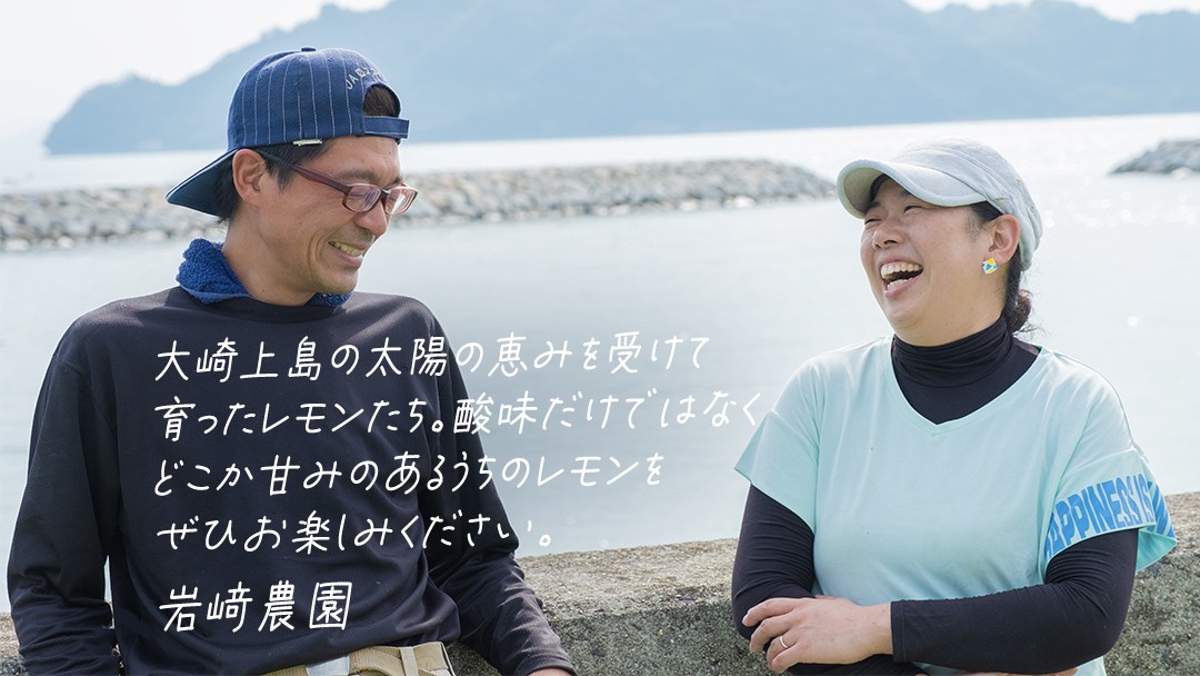｜予約｜12〜1月発送予定｜大崎上島産 皮まで丸ごと食べられる！もぎたてレモン約3kg