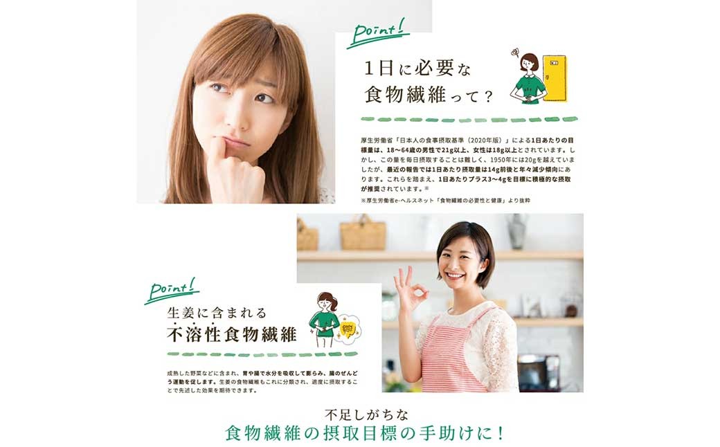 Craft Ginger Fiber（クラフト ジンジャー ファイバー）25g