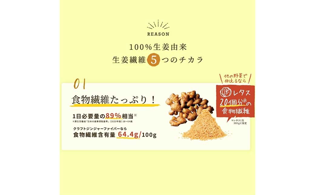 Craft Ginger Fiber（クラフト ジンジャー ファイバー）25g