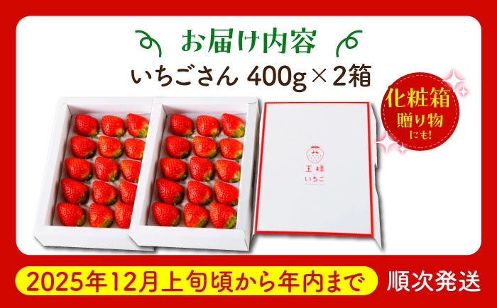 年内発送 年内配送 いちご イチゴ 苺 贈答 贈り物 プレゼント ギフト 農家直送 果物 フルーツ 佐賀 佐賀県産