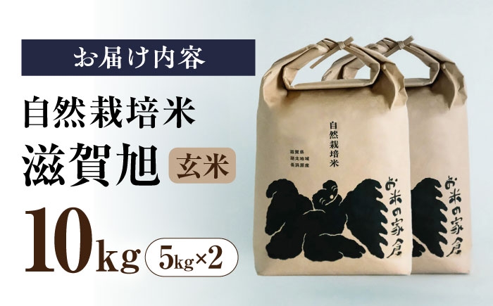 米 お米 玄米 10kg 滋賀旭 自然栽培 長浜市 滋賀県 しがあさひ 農薬不使用 あっさり カレー 和食 麹 冷めても美味しい