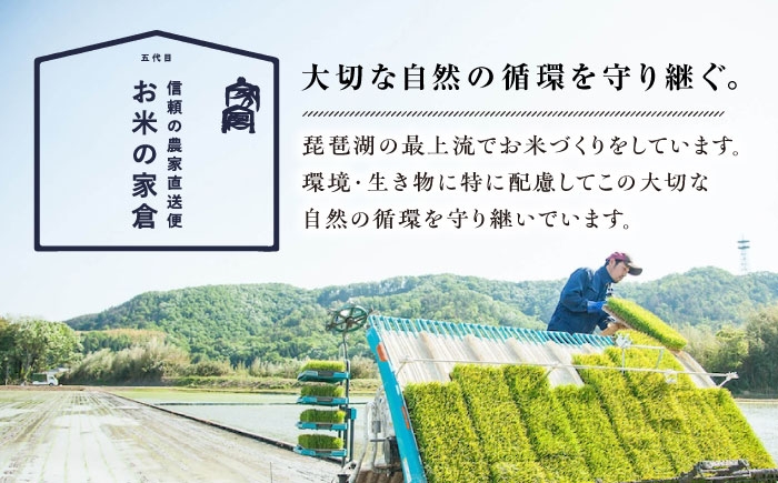 米 お米 白米 10kg 滋賀旭 自然栽培 長浜市 滋賀県 ご飯 精米 しがあさひ 農薬不使用 和食 カレー 冷めても美味しい