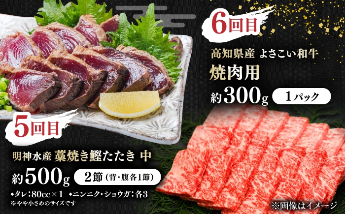 【6回定期便】カツオと和牛の赤身定期便/カツオ 食べ比べ 鰹のセット 土佐和牛 牛肉