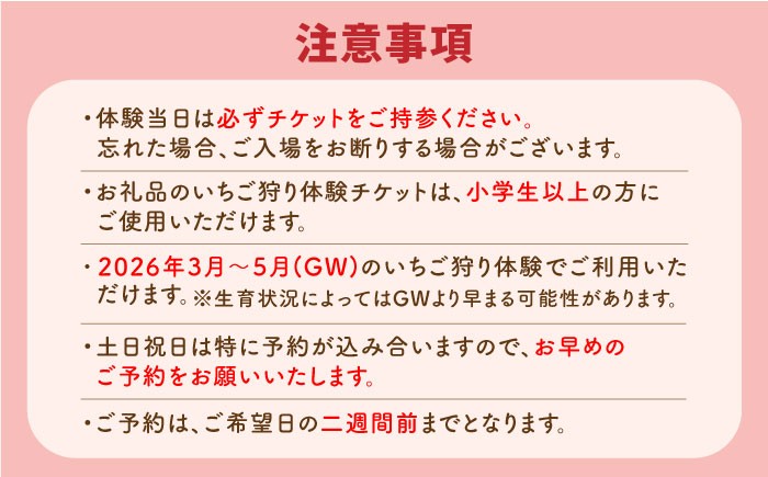 【先行予約】【五感で楽しむ】いちご狩り体験 チケット 4枚【花祭いちごの谷】 [HBN005]
