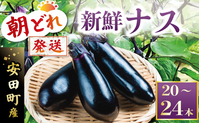 収穫したその日に発送します