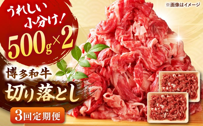 3回定期便 和牛 切り落とし 1kg (500g×2P) 国産