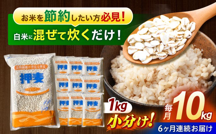 麦 押麦 はだか麦 麦味噌 麦ごはん 雑穀 雑穀米 食物繊維 10キロ 長崎県産 米 こめ コメ ※