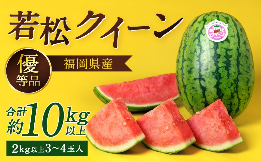福岡県 北九州市 若松産【優等品】若松クイーン 10kg以上（2kg以上3玉入り～4玉入り）