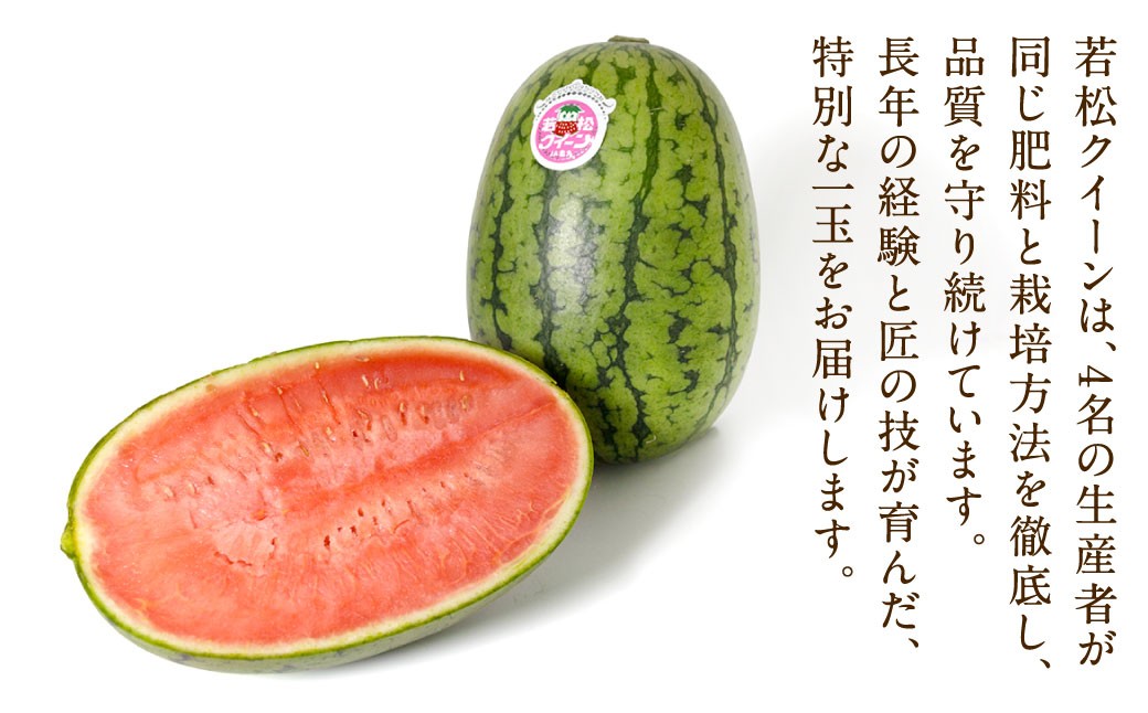 福岡県 北九州市 若松産【優等品】若松クイーン 10kg以上（2kg以上3玉入り～4玉入り）