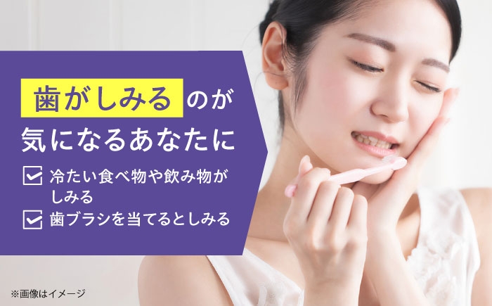 歯磨き粉 はみがき 歯磨き ハミガキ 歯周病 予防 日用品 大容量 知覚過敏