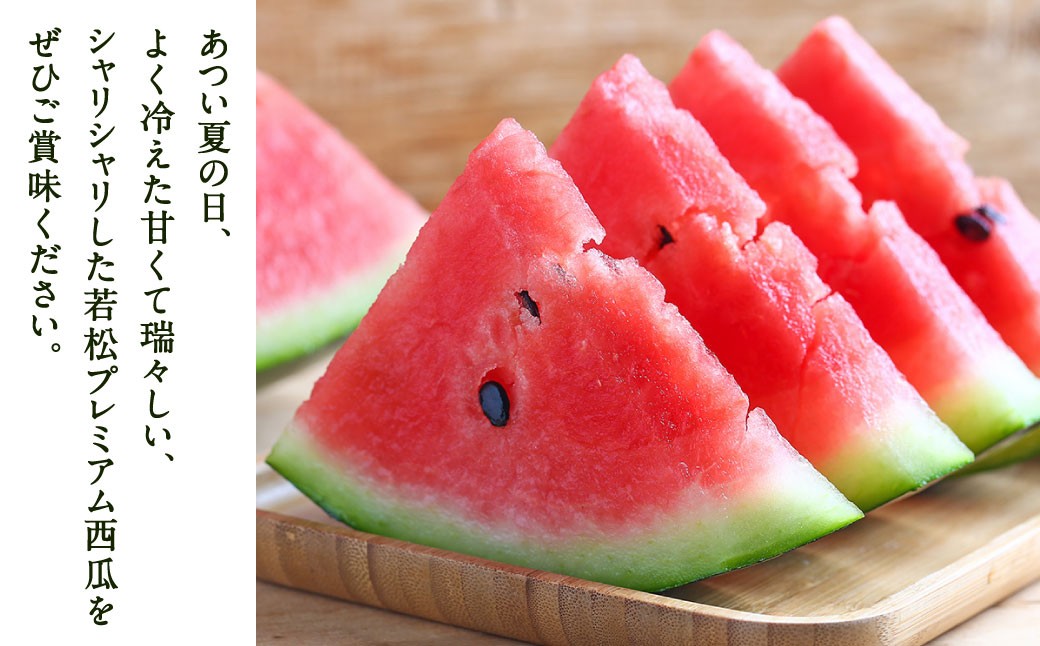 福岡県 北九州市 若松産 【優等品】 潮風プレミアム 西瓜 約7kg（1玉入り）