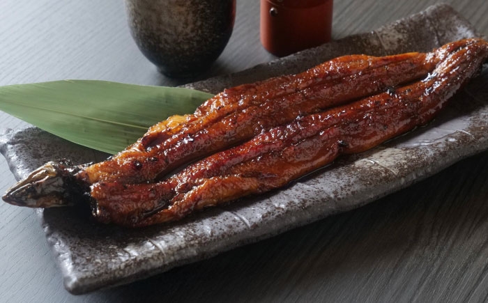 鰻 うなぎ ウナギ うな重 うな丼 たれ グルメ 人気 おすすめ 国産