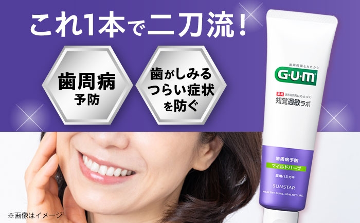 歯磨き粉 はみがき 歯磨き ハミガキ 歯周病 予防 日用品 大容量 知覚過敏