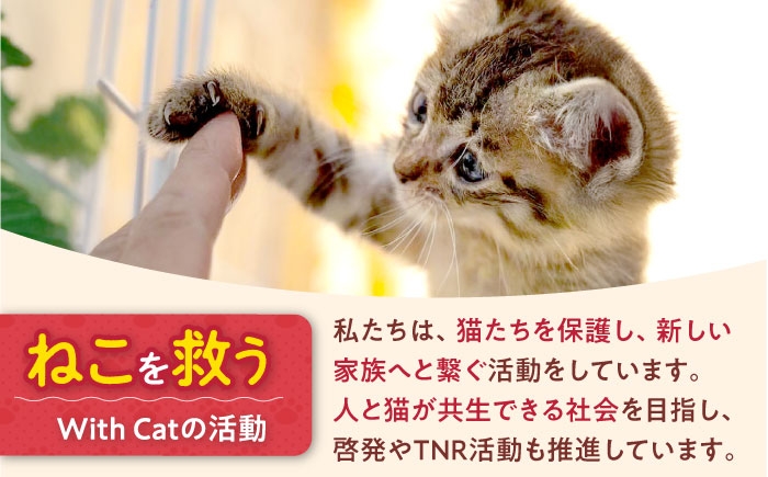 ねこ 雑貨 木製 時計 木製時計 缶バッジ 首輪 ペット シュシュ おもちゃ バッグ カレンダー セット お楽しみ 保護猫 支援