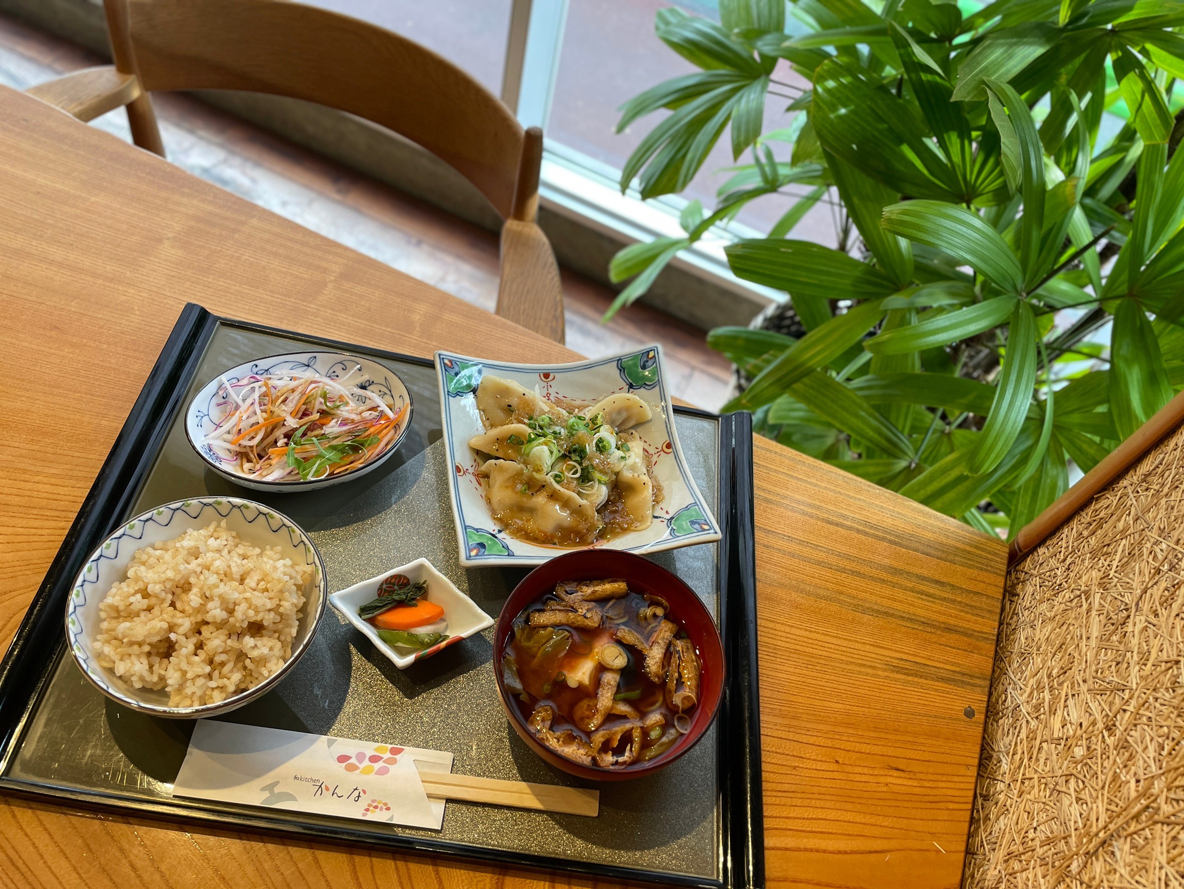 ねぎだく水餃子定食